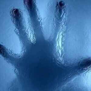 Meet your Posher, Mourad